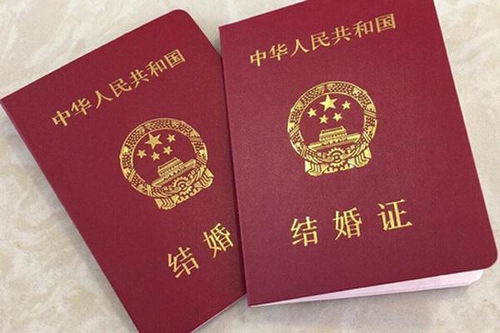 分手后我成了豪门继承人的妻子--第1张