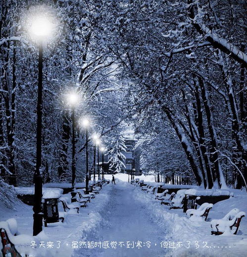 宫墙雪景，雪中秘境的全剧情信息--第1张