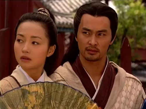 从天而降驸马爷演员表及剧情简介--第1张