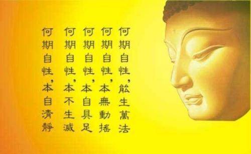 贬值让我成财神，短剧全集剧情信息大全--第1张