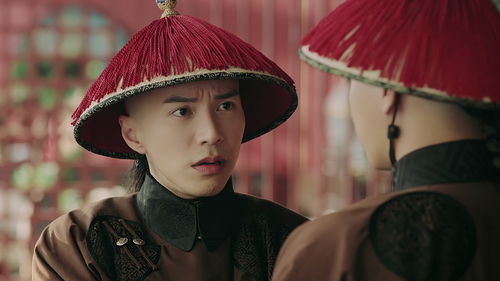 贴身侍卫的契约婚姻，神秘女相公--第1张