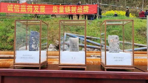 萌宝助攻总裁爹地宠似火免费阅读 萌宝助力爹地妈咪超甜的短剧全集剧情信息大全--第1张