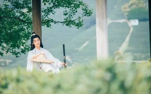 弃少归来吧 弃少归来我才是大少爷短剧全集剧情信息大全--第1张