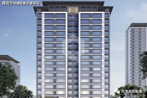 一胎双宝，夫人太美得宠着全集剧情信息大全--第1张