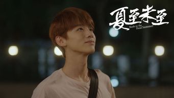 傅总您的金丝雀变凤凰了短剧在线观看，傅总是什么电视剧--第1张