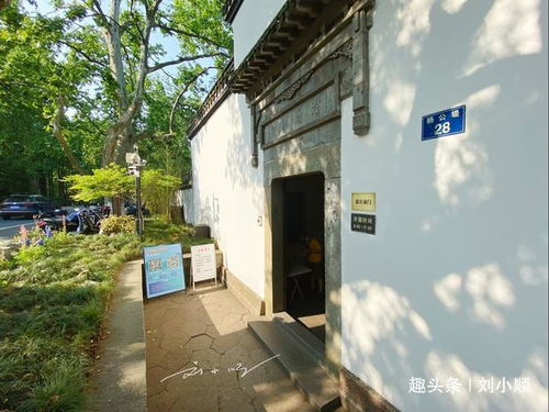 苏总夫人快要失去千年修为了短剧全集剧情信息大全 苏少夫人她跑了--第1张