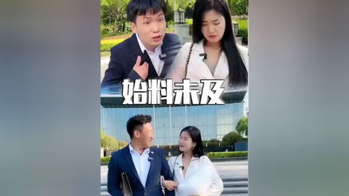  不要招惹舒小姐短剧全集剧情信息大全--第1张