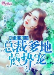 四宝来袭，总裁爹地太专情--第1张