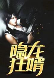 圣医狂婿免费阅读 圣医狂婿短剧全集剧情信息大全--第1张