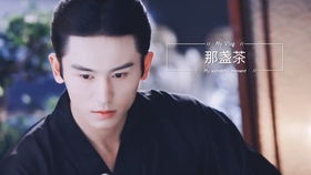 世子殿下的心尖宠，短剧全集剧情信息大全--第1张