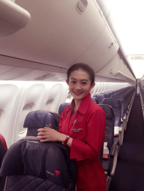 夫人她侍宠生娇夫人要离婚首富老公他慌了短剧全集剧情信息大全 --第1张