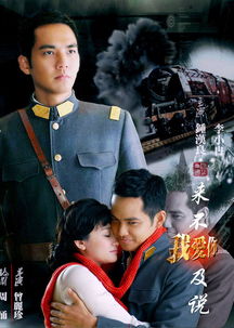如果来不及说我爱你短剧全集剧情信息大全 歌词如果来不及--第1张
