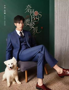 奈何BOSS要契约结婚短剧全集剧情信息大全 奈何boss要娶我剧情分集介绍电视猫--第1张