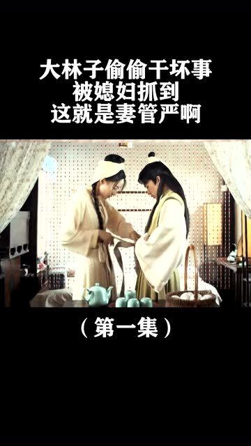 全能赘婿大结局视频在线观看_全能赘婿全文阅读--第1张