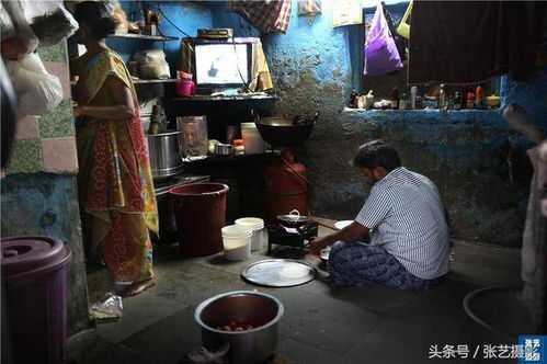 贫民窟里的亿元户短剧全集剧情信息大全 贫民窟里的亿万富翁--第1张