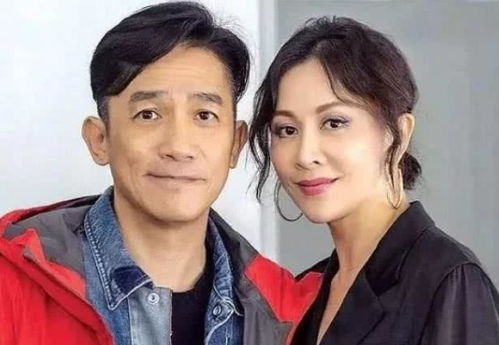 被离婚后我c位爆红[穿书] 离婚后我被渣男的哥哥宠上天短剧全集剧情信息大全--第1张