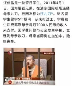 裴先生每天都想父凭子贵 裴总每天都想父凭子贵短剧全集剧情信息大全--第1张