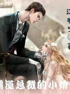 顾少权宠小娇妻短剧全集剧情信息大全 小说顾少宠妻--第1张