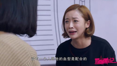 顾总是哪部电视剧的演员 顾总以死相逼求复婚短剧全集剧情信息大全--第1张