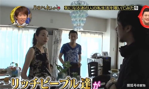 富婆的美食生活是谁 富婆的专属外卖员爱不释手短剧全集剧情信息大全--第1张