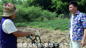 请君入梦左一鹿单东赎罪短剧在线观看--第1张