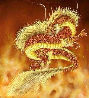 华夏龙组短剧全集，揭秘华夏龙组的完整版剧情信息--第1张