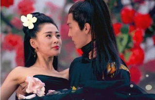 最强太子妃短剧全集，剧情信息大全，免费观看--第1张