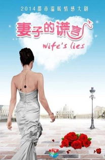 君少追妻夫人她又冷又难撩，追妻路上，前妻又跑了--第1张
