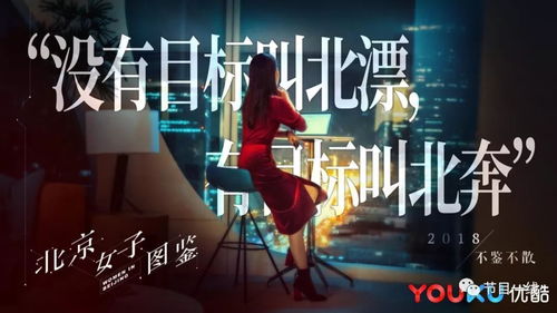 操纵未来，长篇短剧全集精彩剧情揭秘--第1张