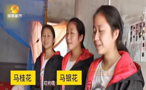 基因三姐妹，三胞胎大佬的传奇人生--第1张