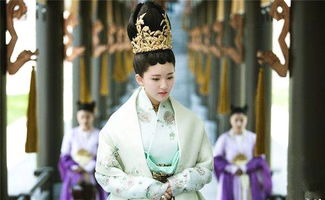云小姐的不二臣 云小姐收手吧江总知错了--第1张