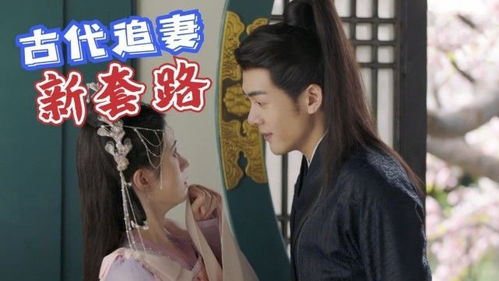 秦少追妻成瘾短剧全集剧情信息，追妻路上，秦少步步为营--第1张