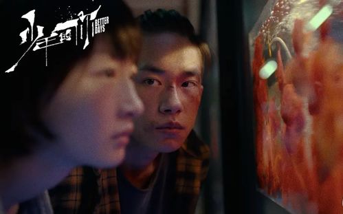 巅峰弃少林伟 巅峰弃少短剧全集剧情信息大全--第1张
