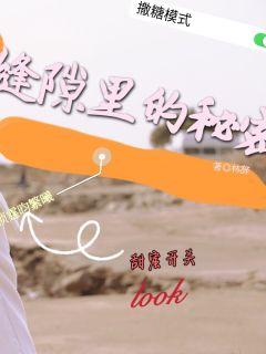 我以新婚辞旧情短剧全集剧情信息大全 《我以新婚辞深情》--第1张