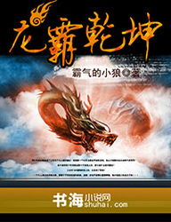 新版龙霸天下短剧全集剧情信息大全 龙霸天下百度百科--第1张
