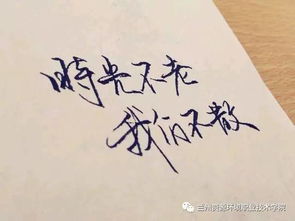 相思不似相逢好免费阅读 相思不似相识短剧全集剧情信息大全--第1张