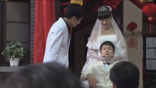 婚礼现场新郎唤醒植物人新娘 短剧全集剧情信息大全资讯--第1张