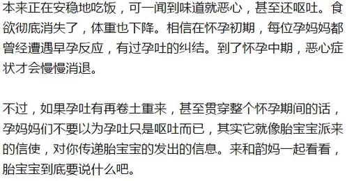 离婚后她孕吐小说却收到六胎孕检单全集资讯--第1张