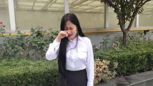 傅总太太又在征婚了短剧全集剧情信息大全资讯 傅太太,求关注!--第1张