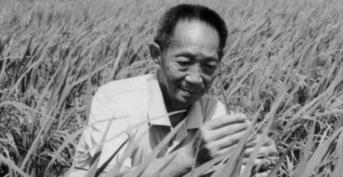 无双国士，短剧全集剧情信息大全资讯--第1张