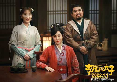 从天而降驸马爷短剧全集剧情信息大全资讯 从天而降 演员表--第1张