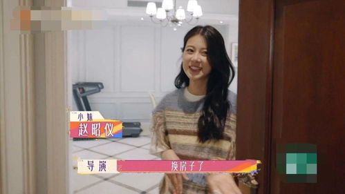 墨少夫人她又走了免费阅读 墨少夫人她又逃了短剧全集剧情信息大全资讯--第1张