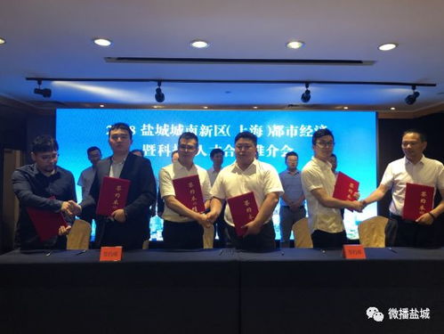 城南花已开短剧全集剧情信息大全资讯--第1张