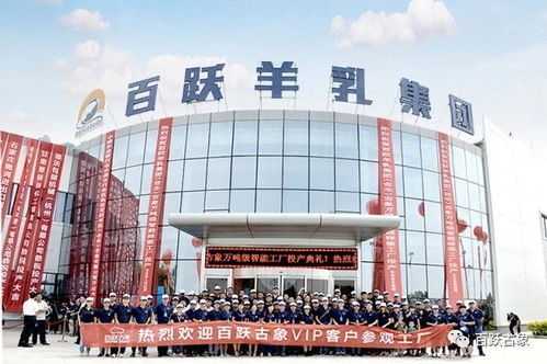 龙凤双宝强势宠 龙凤双宝，禁欲大叔放肆宠短剧全集剧情信息大全资讯--第1张