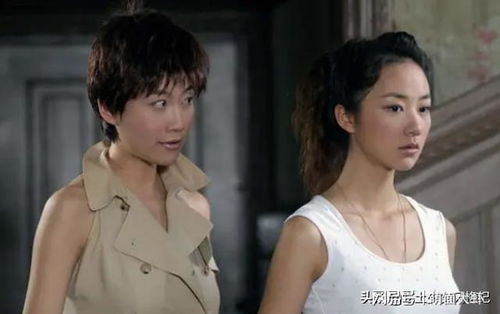 电视剧《错换的人生》 错换的人生短剧全集剧情信息大全资讯--第1张
