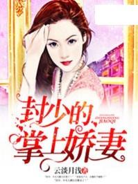 陆少的在逃小娇妻短剧全集剧情信息大全资讯 陆少宠妻超甜齁免费全文免费阅读--第1张