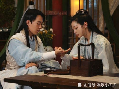 赘婿的反击短剧全集剧情信息大全资讯 赘婿反应--第1张