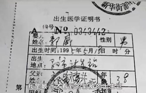 他的心尖宠，总裁独宠小娇妻--第1张