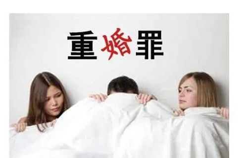 离婚后傅总追妻跪求原谅短剧全集剧情信息大全资讯 离婚后,傅总天天要复婚--第1张