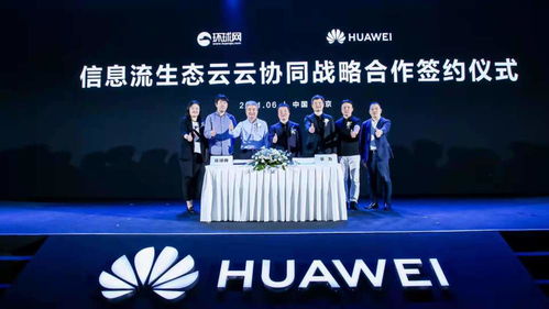 寡人横扫六合短剧全集剧情信息大全资讯 寡人百科--第1张